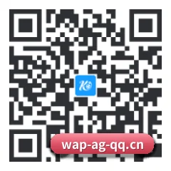 系统版 iOS 二维码
